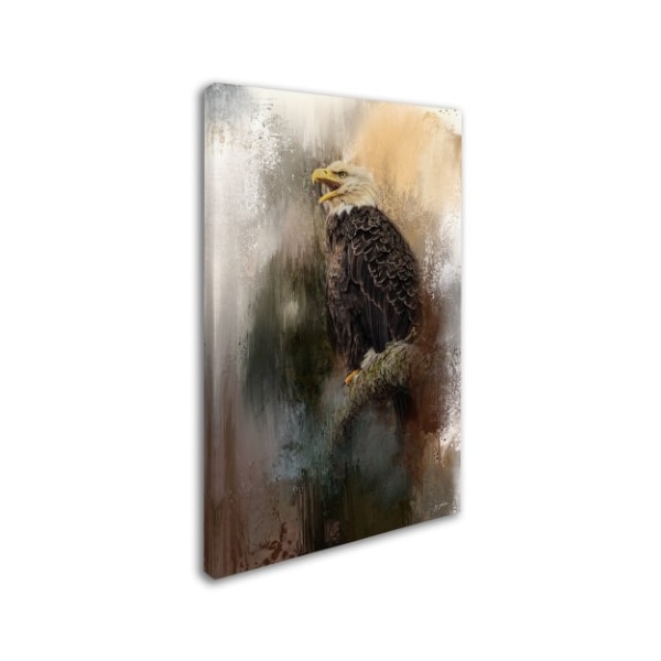 Jai Johnson 'Winter Eagle 3' Canvas Art,16x24